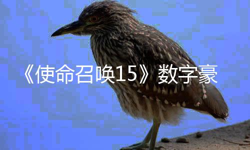 命召版上加强架X价9唤1豪华元使数字商城 售